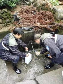 组建应急分队，筑牢汛期饮水安全防线